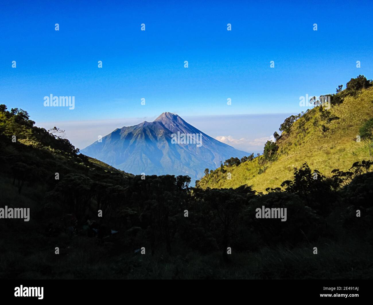 Vista mattutina del Monte Merapi dalla cima del Monte Merbabu in Giava Centrale, Indonesia. Foto Stock