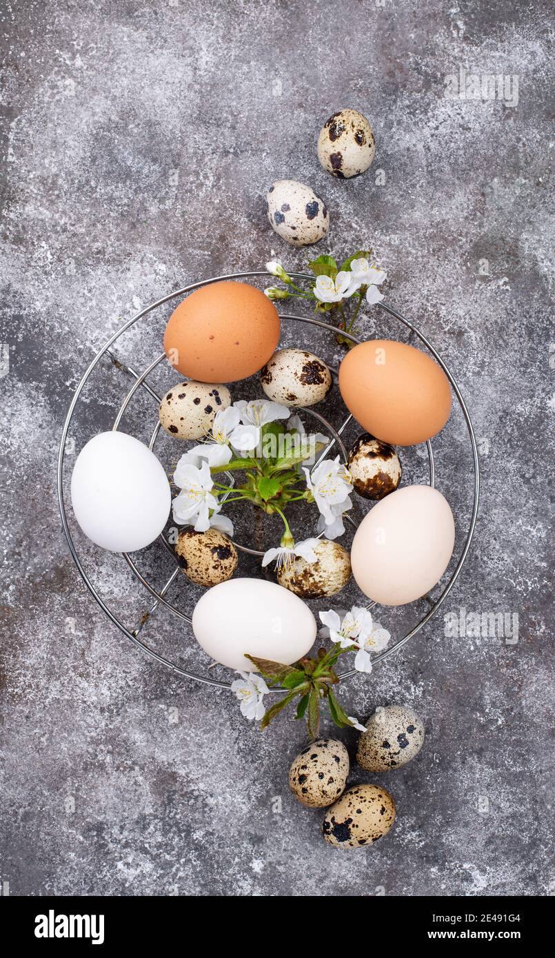 Concetto di Pasqua. Uova di pollo e quaglia. Foto Stock