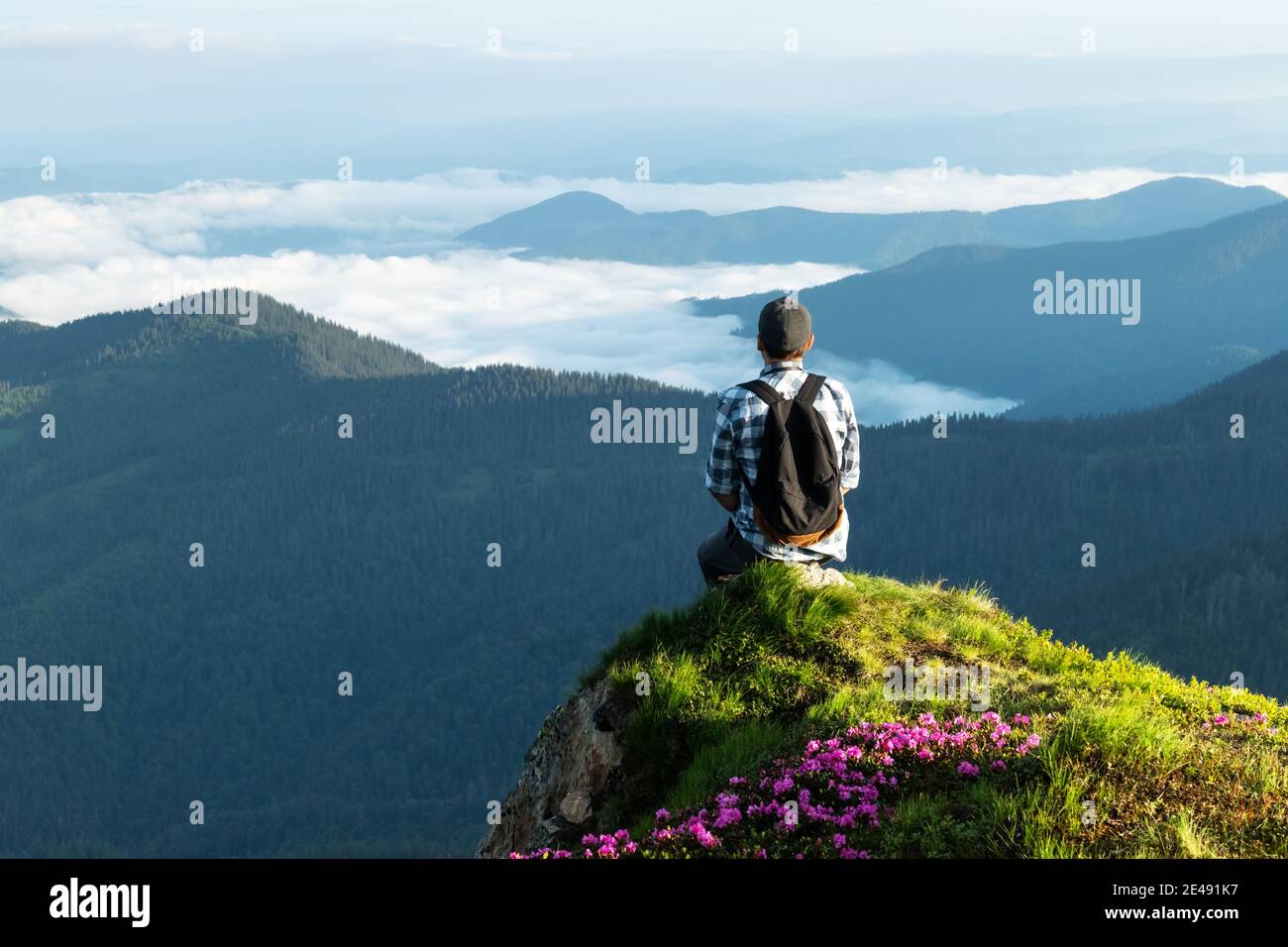 Un turista siede sul bordo di una scogliera coperta da un tappeto rosa di fiori di rododendro in estate. Montagne nebbose sullo sfondo. Fotografia di paesaggio Foto Stock