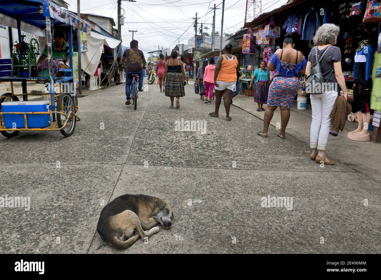 Livingston, Caraibi, Guatemala, America Centrale: Il vecchio cane di strada dorme nel mezzo della strada principale Foto Stock