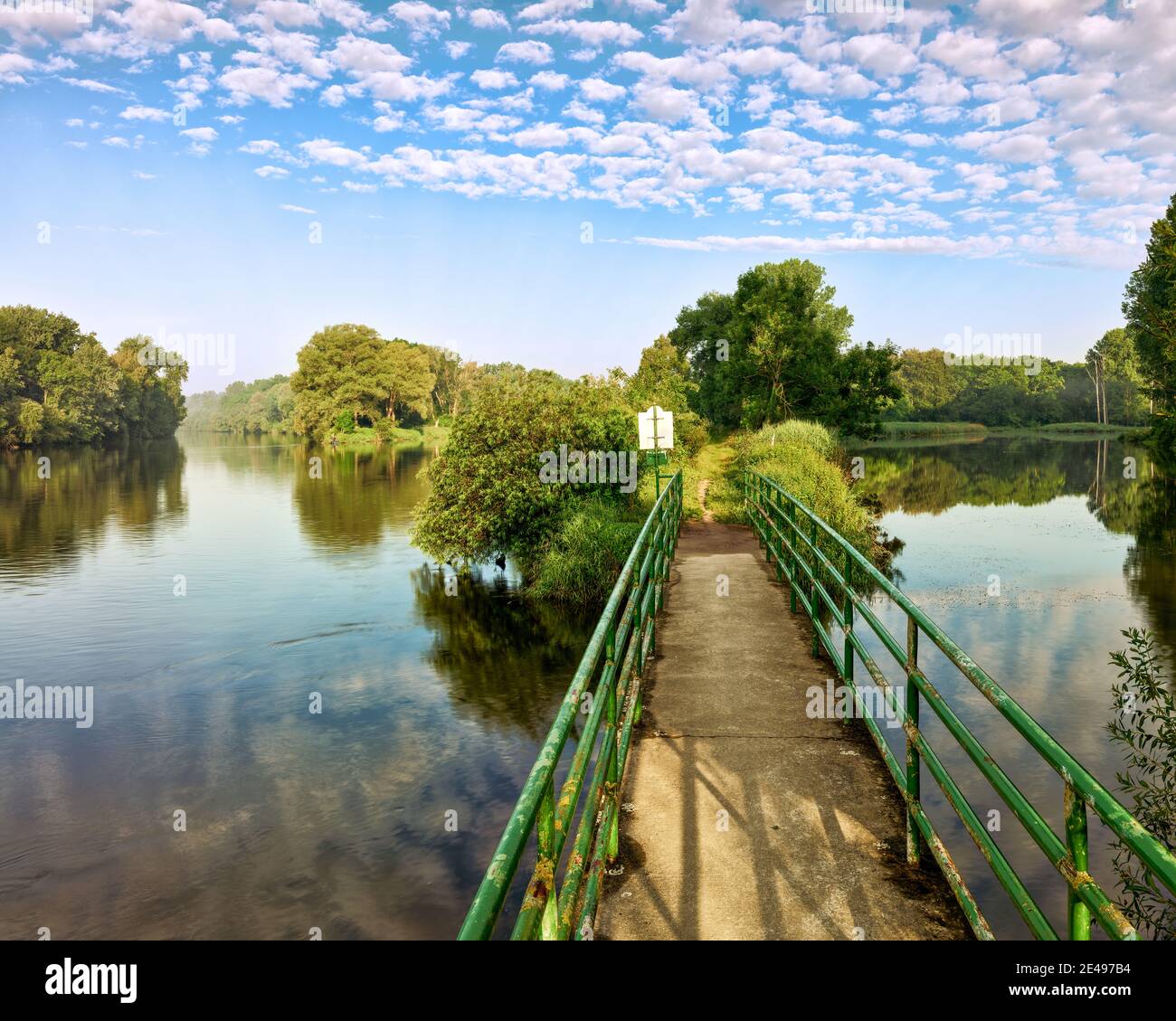 Fiume, estuario, ruscello, riva del fiume, banca, foresta alluvionale, lago di oxbow, foresta, natura, paesaggio, pianura alluvionale, umore del mattino, nebbia mattutina Foto Stock