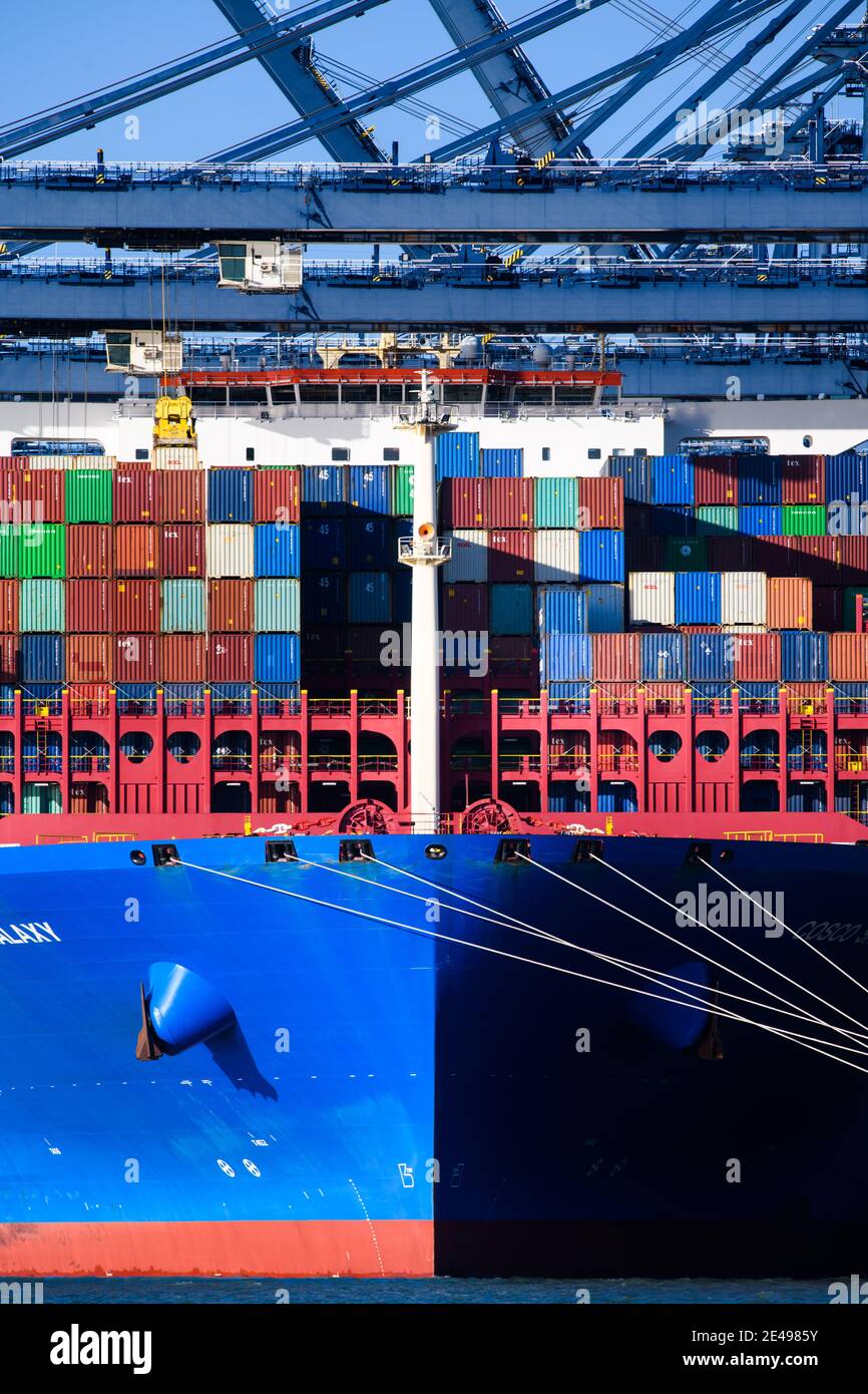 Felixstowe, Regno Unito. 22 gennaio 2021. Contenitore spedire il Cosco Shipping Galaxy caricato nel porto di Felixstowe, Suffolk. Il trasporto di container ha registrato notevoli disagi sin dalla Brexit, con i porti congestionati e l’aumento della documentazione cartacea che ha portato a ritardi e all’aumento dei costi sia per le importazioni che per le esportazioni. Data immagine: Venerdì 22 gennaio 2021. Il credito fotografico dovrebbe essere: Matt Crossick/Empics/Alamy Live News Foto Stock