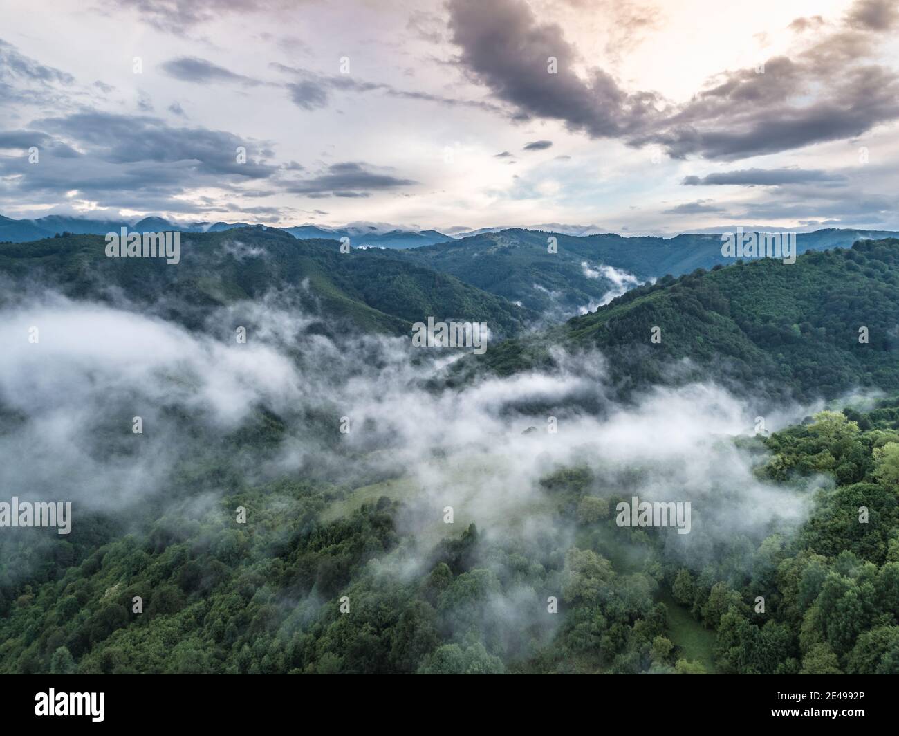 Foresta verde densa panoramica aerea in primavera. Catena montuosa in Bulgaria nella nebbia nuvolosa giorno Foto Stock