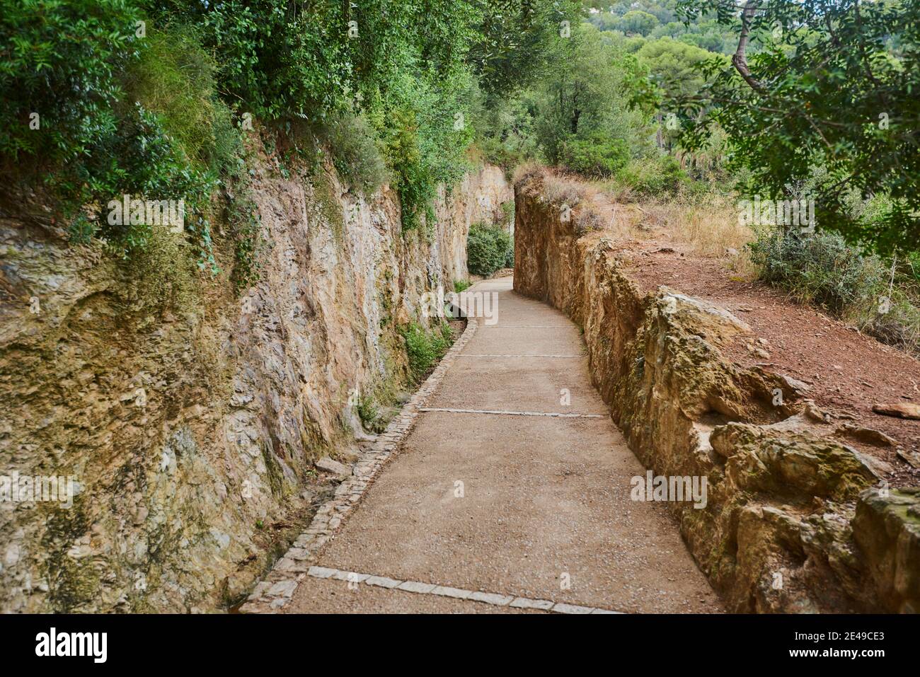 Percorso per il Parco Guell, costruito dall'architetto Antoni Gaudi, Barcellona, ​​Catalonia, Spagna Foto Stock