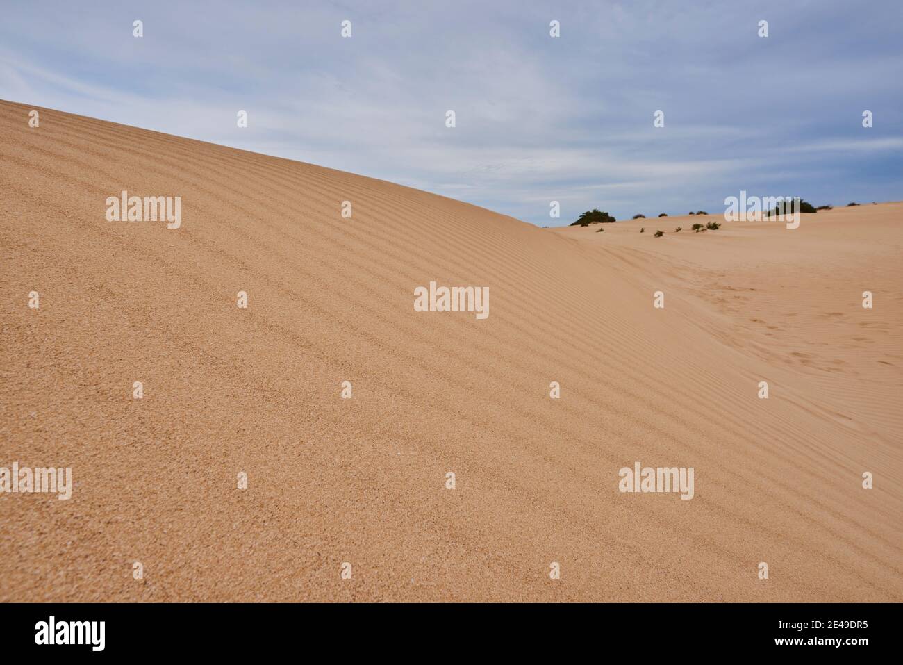 Dune di sabbia sotto un cielo blu con nuvole, Narodowy de las Dunas de Corralejo Park, El Jable shifting dune area, Las Dunas de Corralejo, Parque Natural de Corralejo, Fuerteventura, Isole Canarie, Spagna Foto Stock