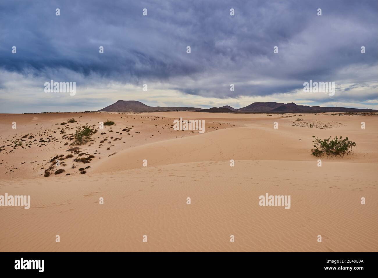 Dune di sabbia sotto un cielo blu con nuvole, Narodowy de las Dunas de Corralejo Park, El Jable shifting dune area, Las Dunas de Corralejo, Parque Natural de Corralejo, Fuerteventura, Isole Canarie, Spagna Foto Stock