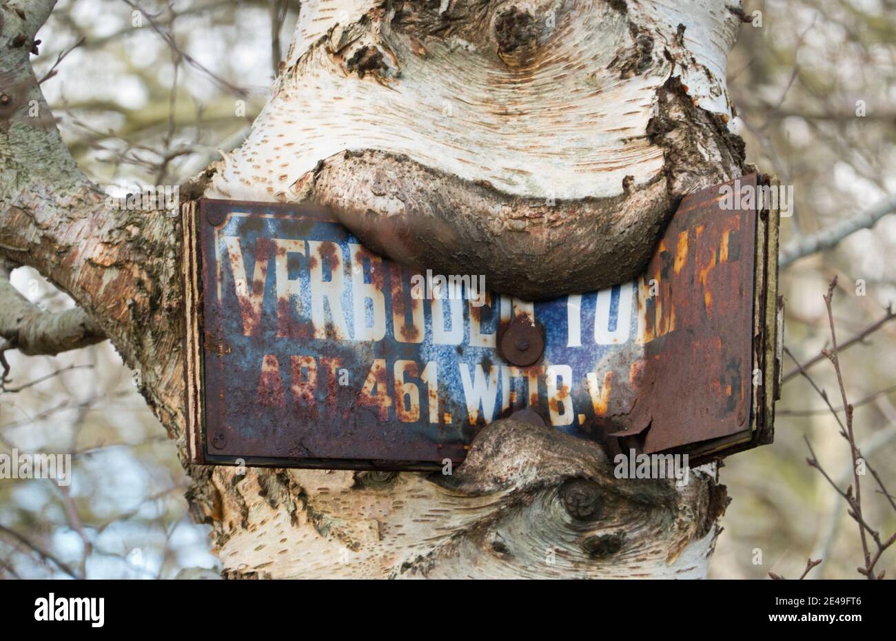 Segno arrugginito con in olandese le parole proibito ingresso, inchiodato ad un albero, quasi illeggibile, cresciuto nella corteccia dell'albero Foto Stock