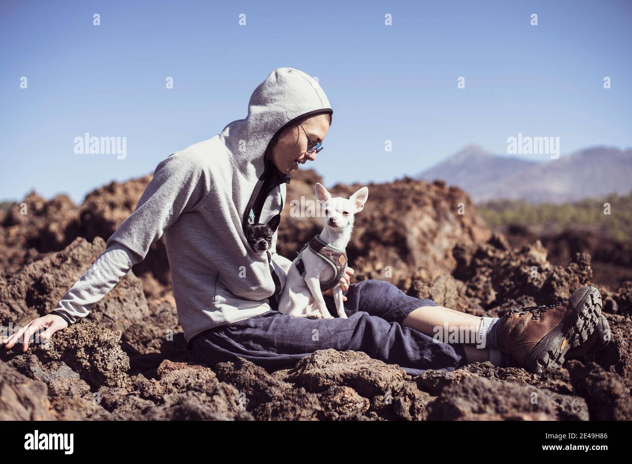 lati sani escursionisti su pietra vulcanica in montagna con chihuahua cani Foto Stock