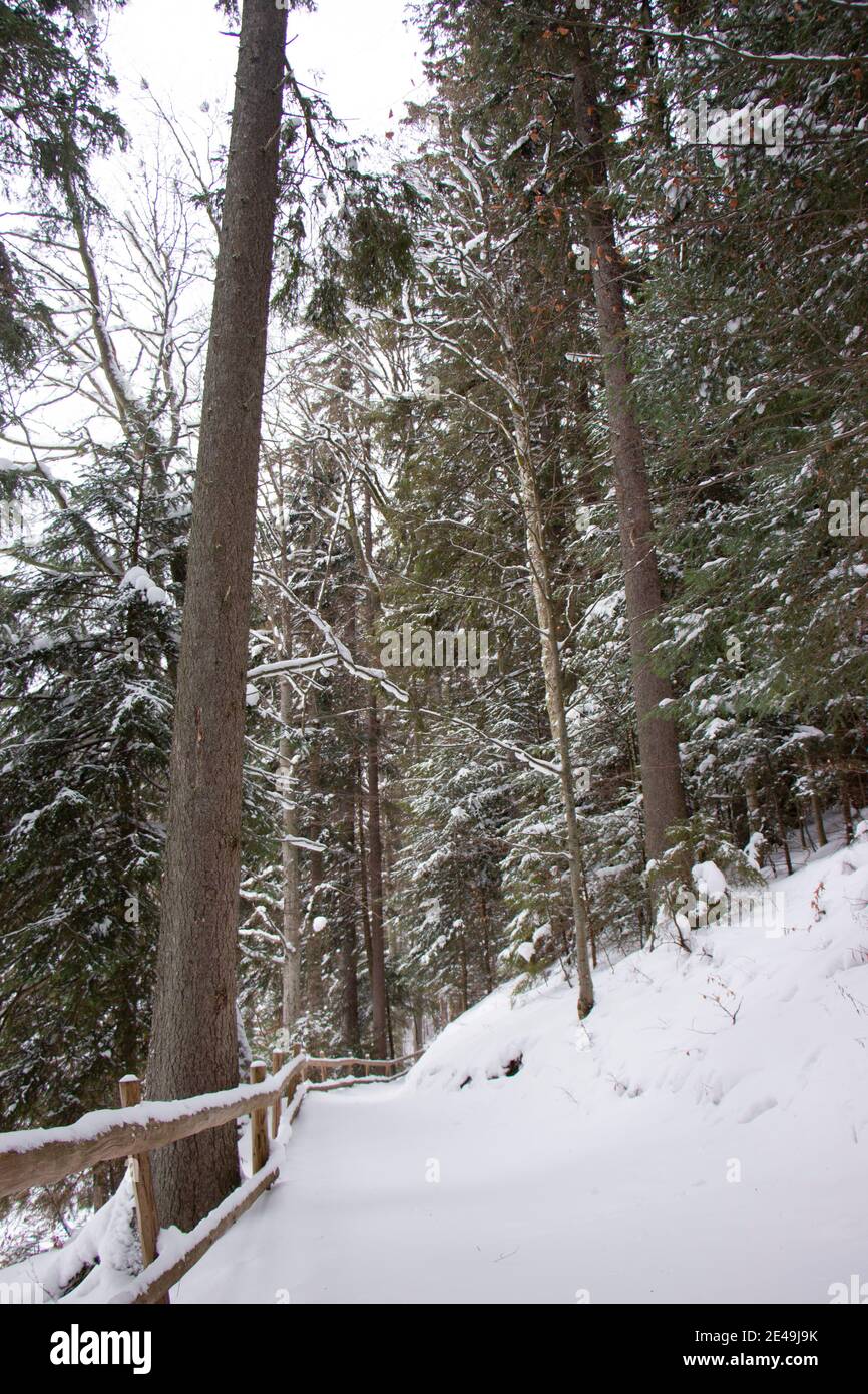 Recinzione in legno nella neve e un sentiero che corre lungo il lago nei boschi. Messa a fuoco selettiva Foto Stock