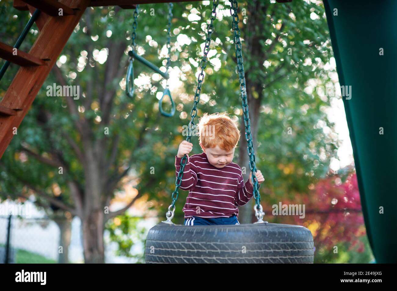 Ragazzo di 3-4 anni che guarda giù mentre oscillano sul pneumatico swing all'aperto Foto Stock