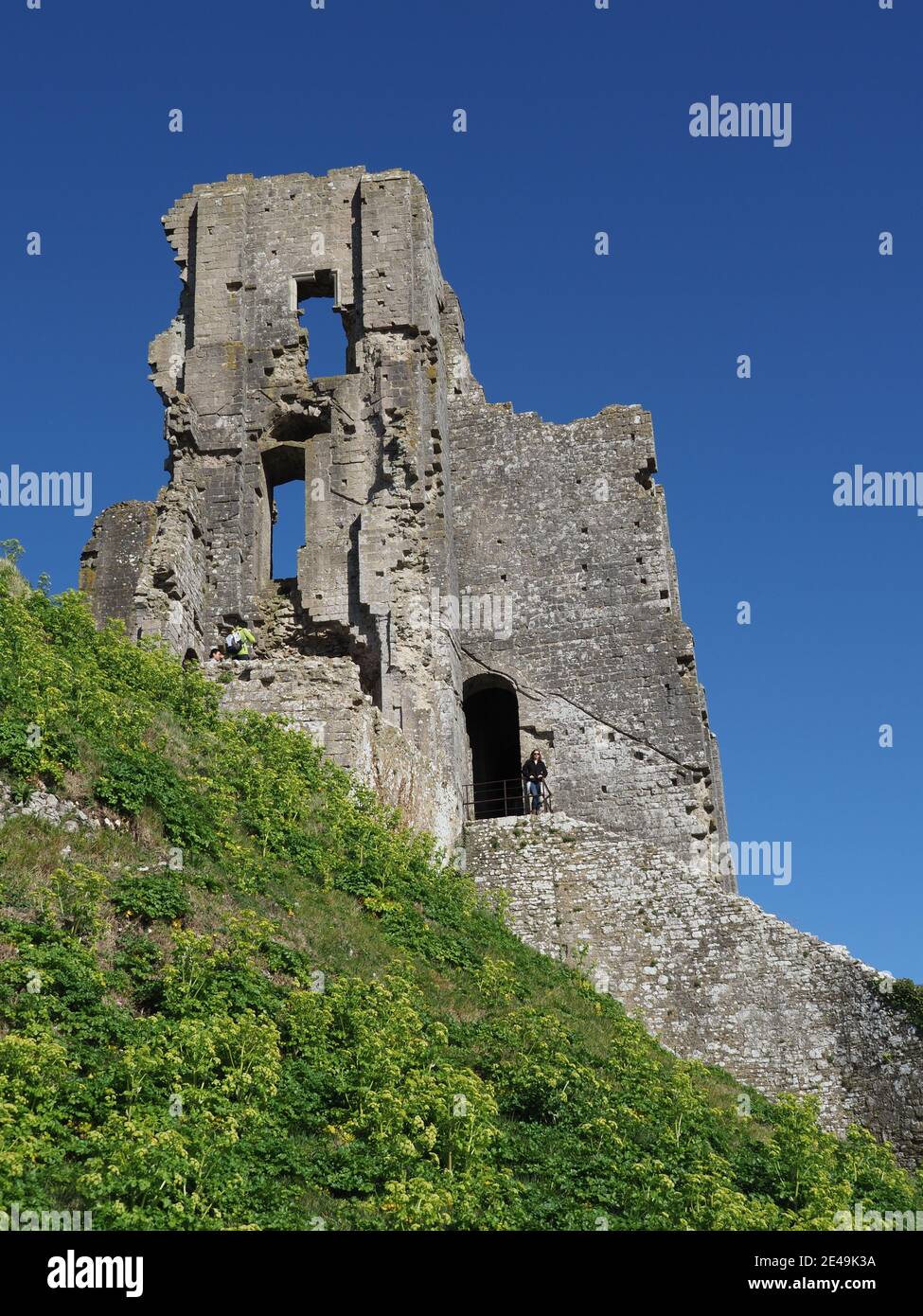 Corfe Castle ha rovinato il castello nella zona di Purbecks del Dorset in Inghilterra, regno unito Foto Stock