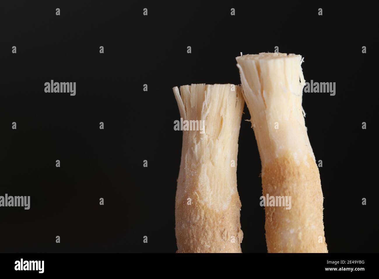 Miswak stick.Miswak spazzolino naturale su sfondo nero.igiene  dentale.spazzolino vegetale. Igiene alternativa e salute Foto stock - Alamy