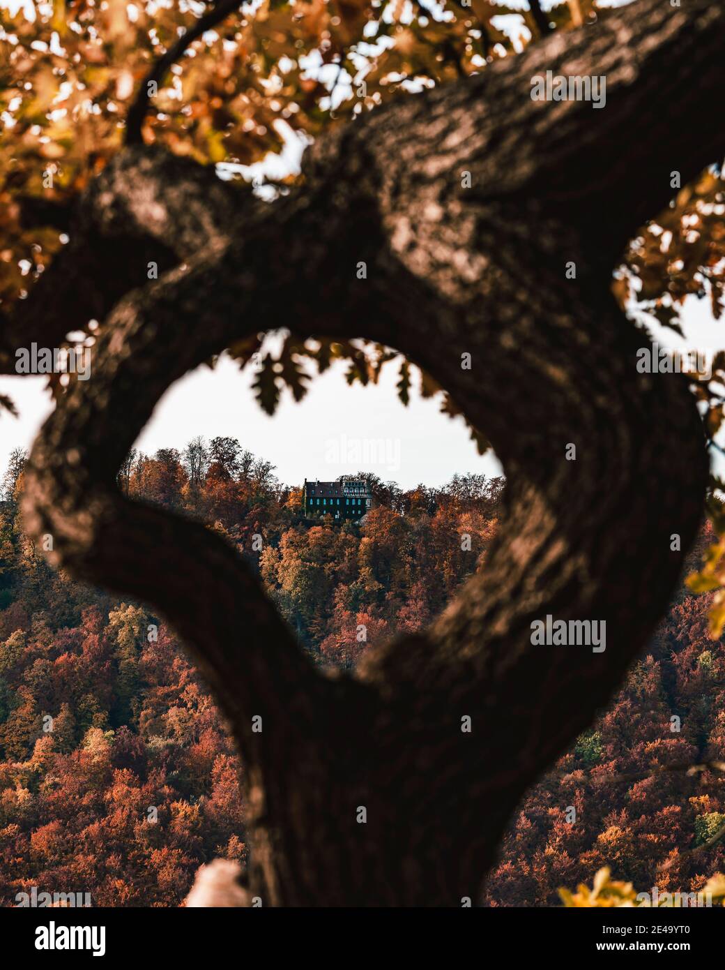 Vecchia casa del forestere, Castello di Lichtenstein, autunno, Alb sveva, Baden-Wuerttemberg, Germania, Europa Foto Stock