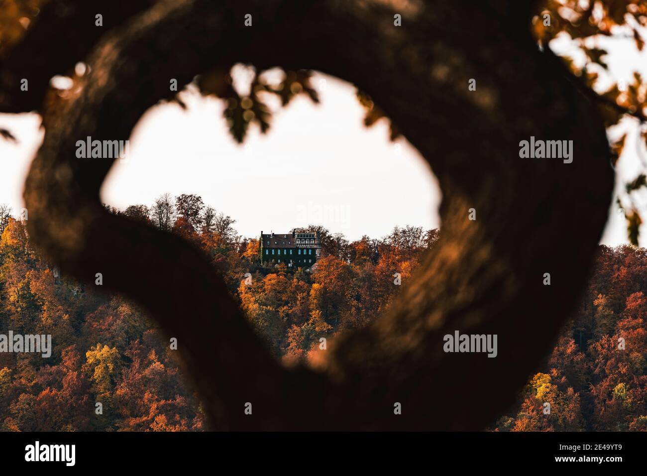 Vecchia casa del forestere, Castello di Lichtenstein, autunno, Alb sveva, Baden-Wuerttemberg, Germania, Europa Foto Stock