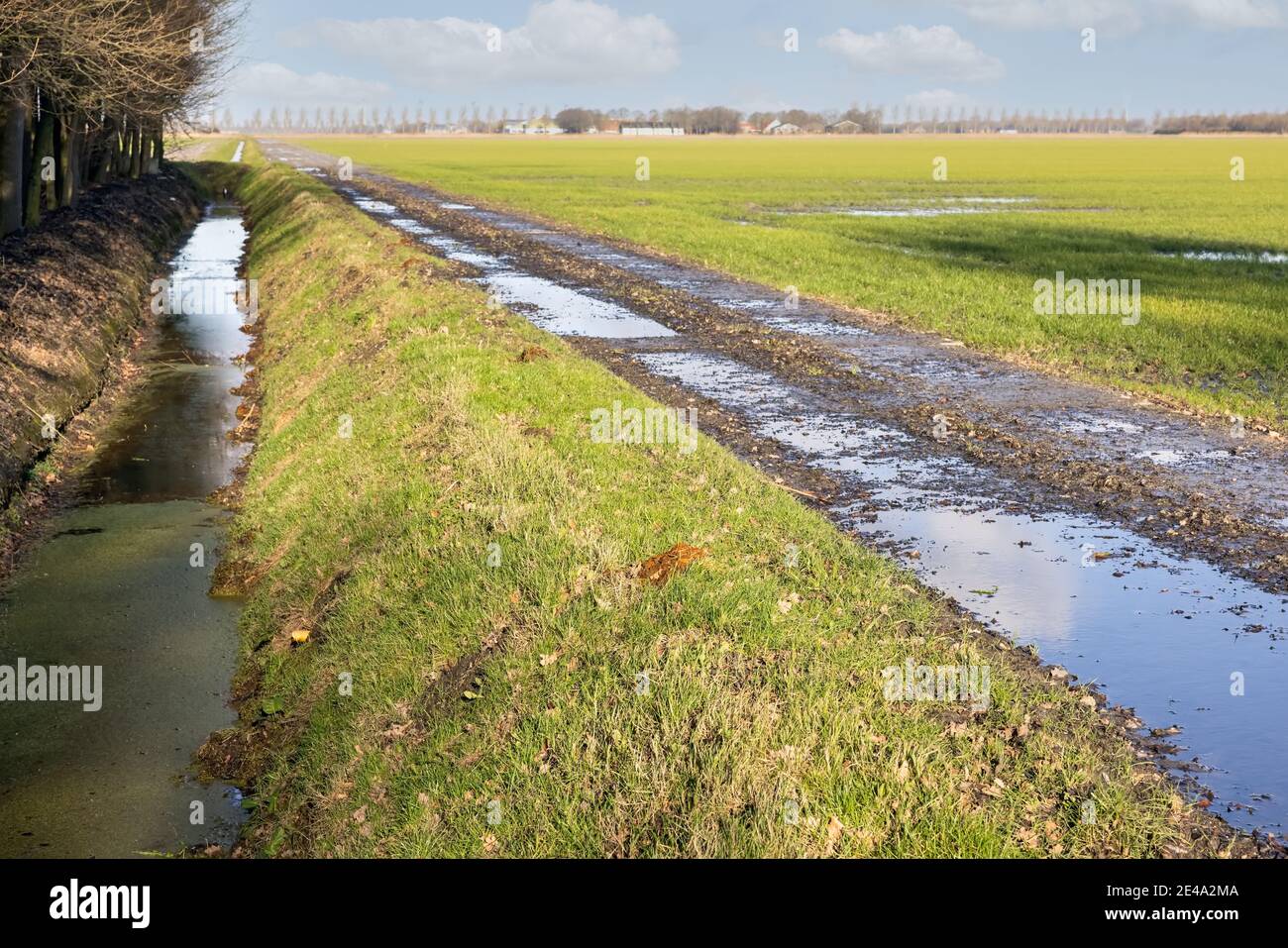 Paesaggio agricolo olandese con piscine d'acqua dopo una doccia a pioggia Foto Stock