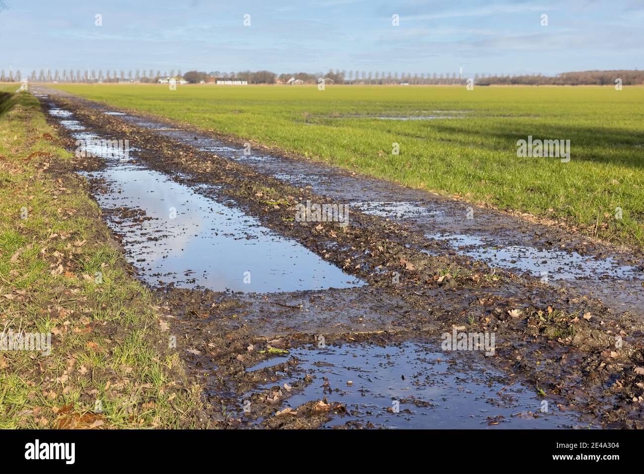 Paesaggio agricolo olandese con piscine d'acqua dopo una doccia a pioggia Foto Stock