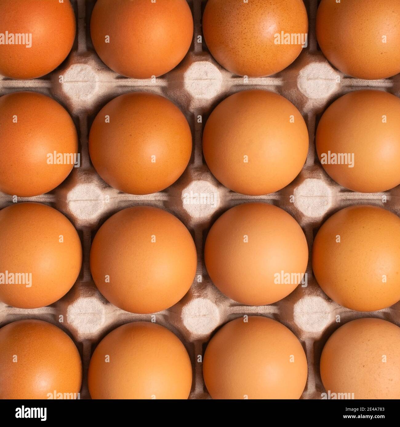 Far rosolare le uova di pollo fresche in una scatola di cartone. Primo piano naturale uovo organico modello. Cibo sano e reale. Vista dall'alto, disposizione piatta Foto Stock