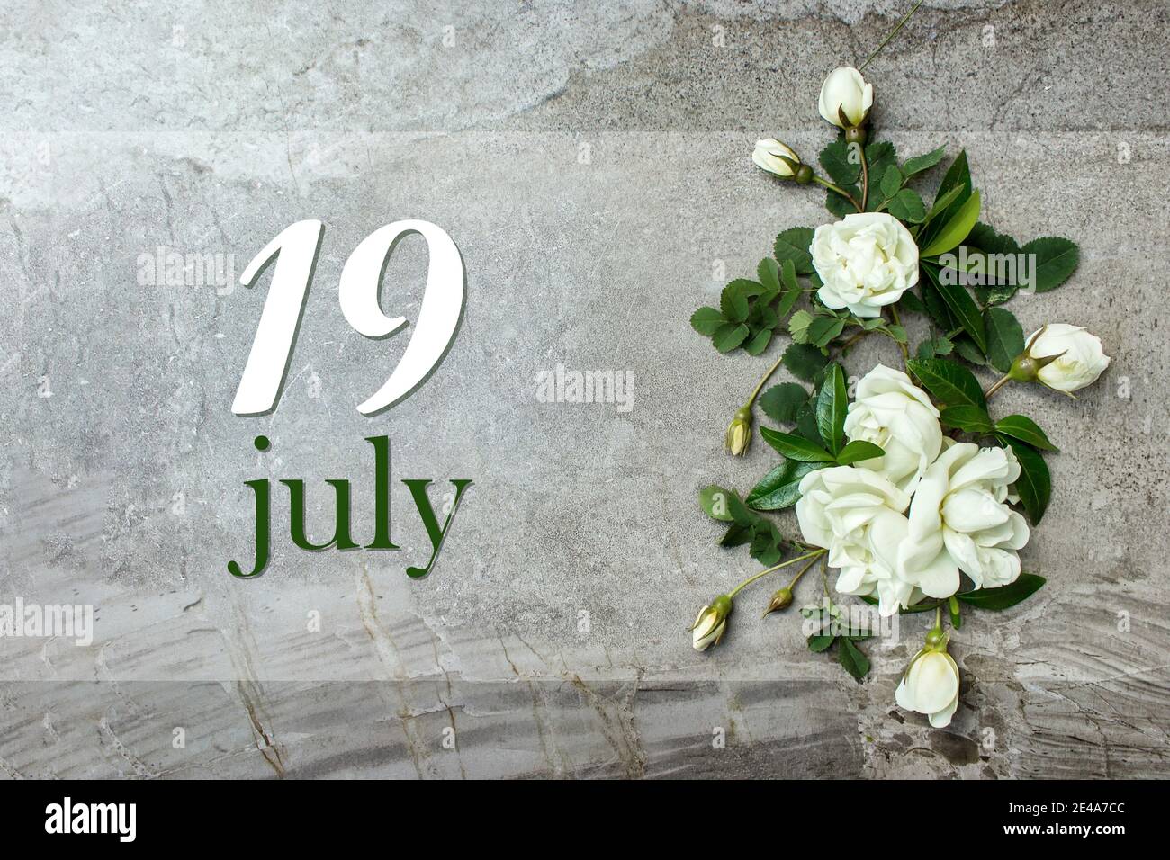 19 luglio. Giorno 19 del mese, data del calendario. Elegante posa piatta delle rose. Rose bianche bordo su sfondo grigio pastello con data calendario. Autunno mese, giorno Foto Stock