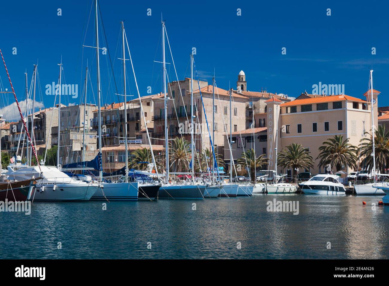 Barche presso un porto turistico, Propriano, Corse-Du-Sud, Corsica, Francia Foto Stock