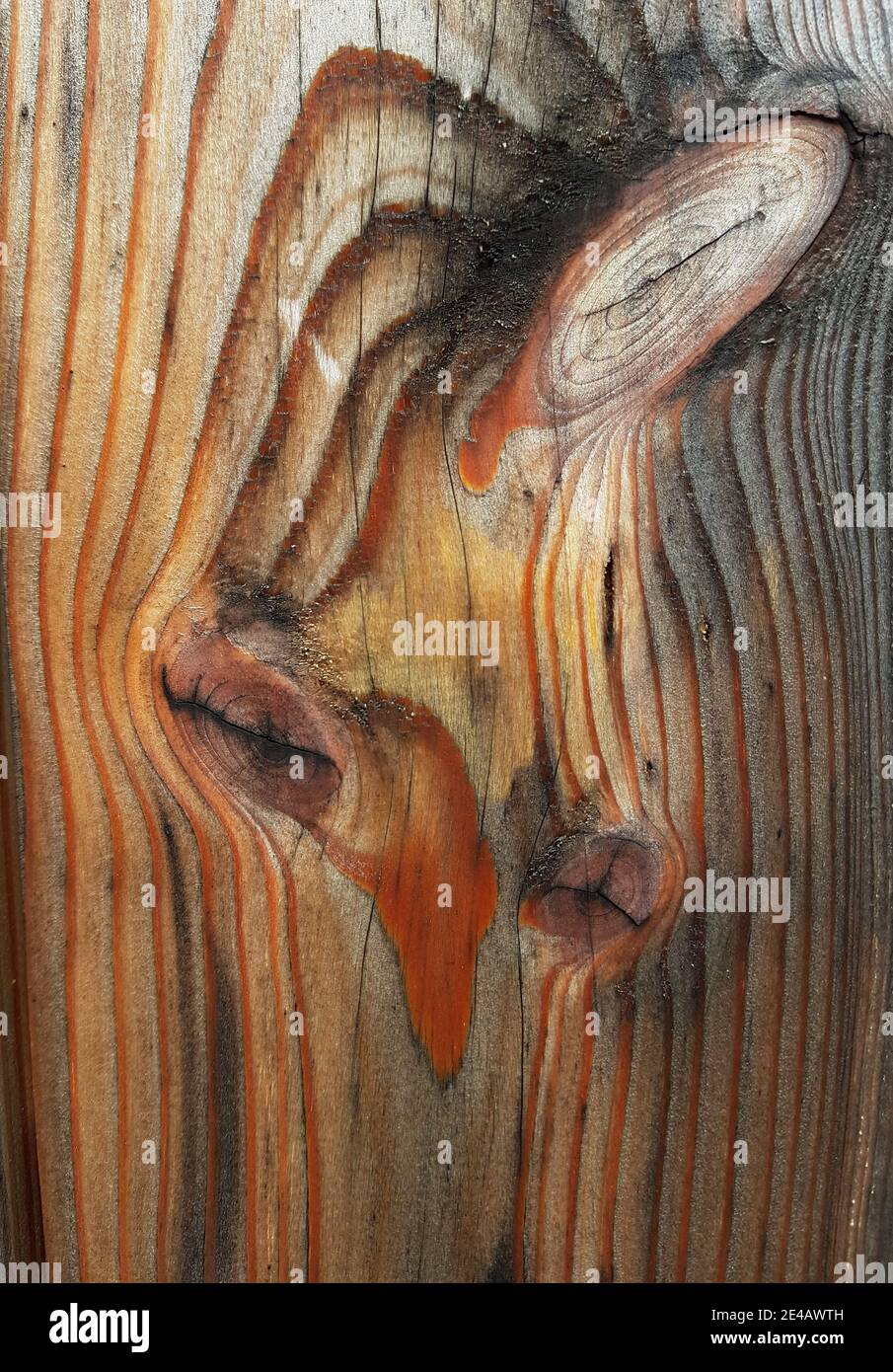 Tavola di legno con motivo Foto Stock