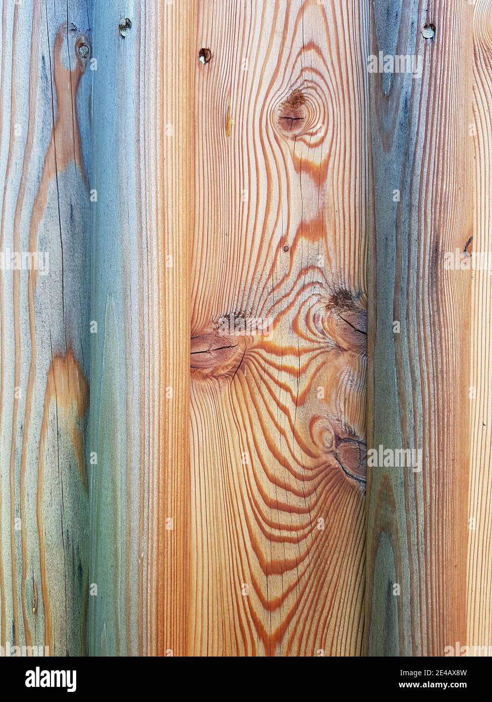 Tavola di legno con motivo Foto Stock