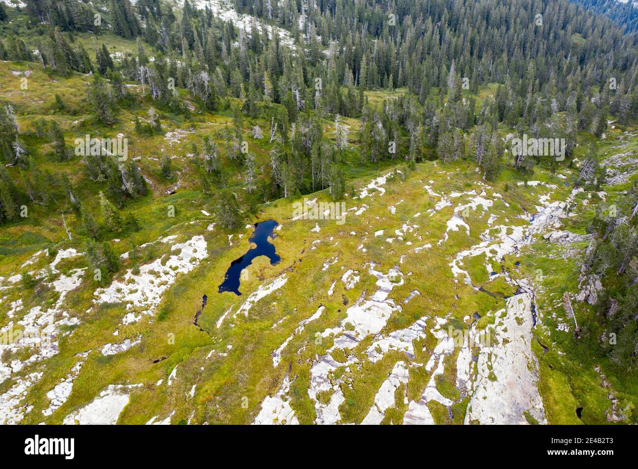 Laghetto, lago di mor sulla linea degli alberi, vista aerea Foto Stock