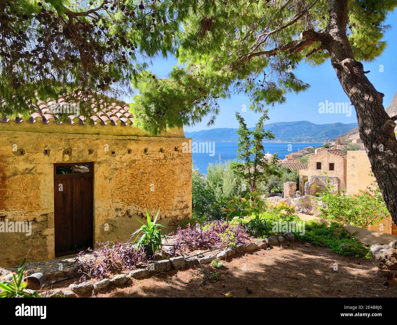 Vecchie case, sole e pini nella città bassa di Monemvasia, un luogo magico senza auto, Laconia, Peloponneso, Grecia Foto Stock