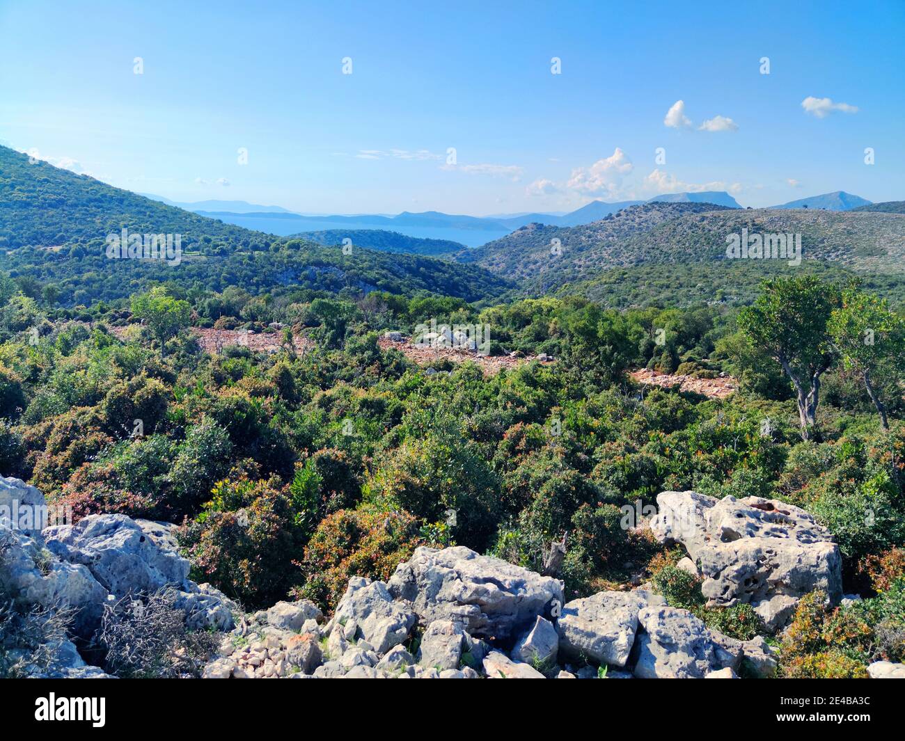 Il paesaggio montuoso con alberi tipici tra MITIKAS e Astakos, Grecia centrale. Foto Stock