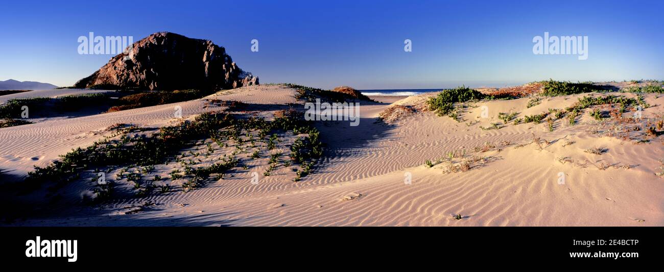 Vista delle dune di sabbia e del Morro Rock, Morro Bay, San Luis Obispo County, California, Stati Uniti Foto Stock