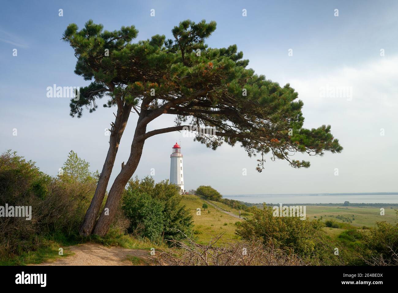 Faro di Dornbusch, isola di Hiddensee, Mar Baltico, Meclemburgo-Pomerania occidentale, Parco Nazionale della Laguna di Pomerania Occidentale, Germania, Foto Stock