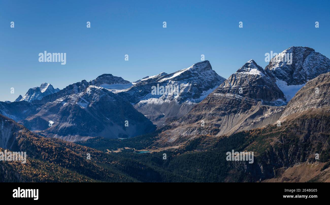 Vista del Passo Burstall, Mt. Nero, Mt. Cradock, Palliser Valley, Rocky Mountains, Alberta, Canada Foto Stock