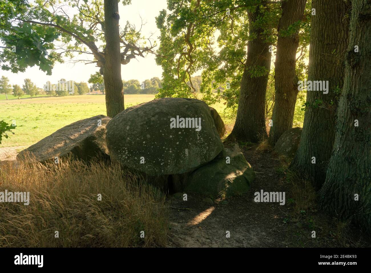 Grandi tombe neolitiche in pietra vicino a Lancken-Granitz, Isola Ruegen, Meclemburgo-Pomerania occidentale, Germania Foto Stock