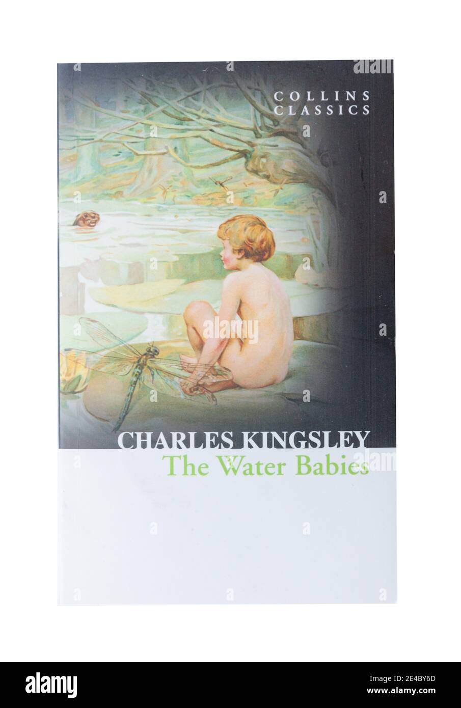 Il libro Water Babies di Charles Kingsley, Greater London, England, United Kingdom Foto Stock