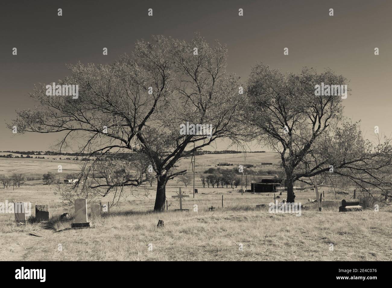 Lapidi e alberi in un cimitero, massacro di ginocchio ferito, ginocchio ferito, South Dakota, USA Foto Stock