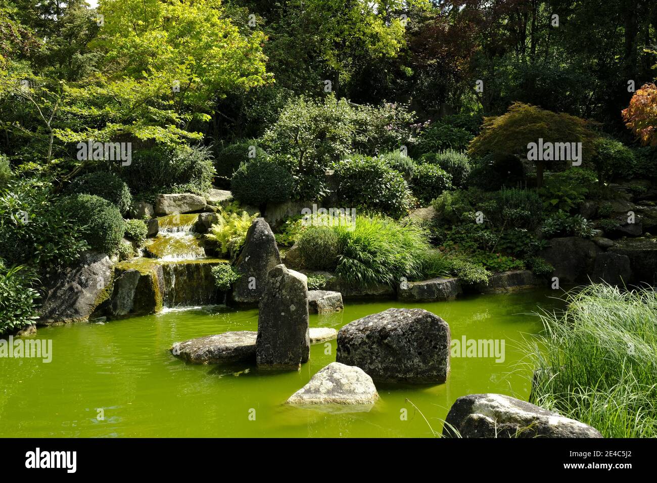 Vecchi giardini a Würzburg sotto la Fortezza di Marienberg, bassa Franconia, Franconia, Baviera, Germania Foto Stock