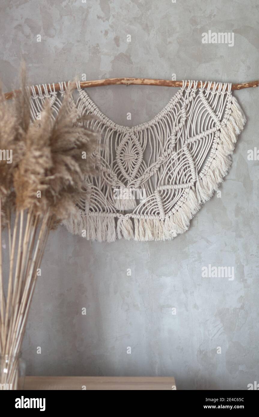 pianta di lamella sullo sfondo di una parete grigia di cemento con pannelli in macrame Foto Stock