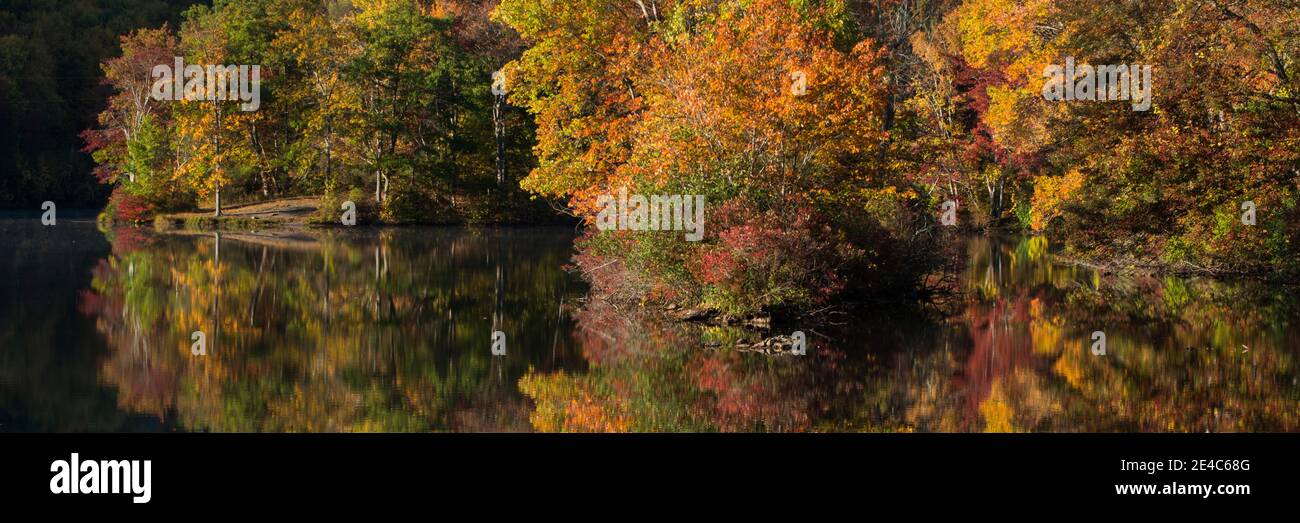 Riflessione di alberi in acqua, lago nascosto, Delaware Water Gap National Recreation Area, Pennsylvania, Stati Uniti Foto Stock