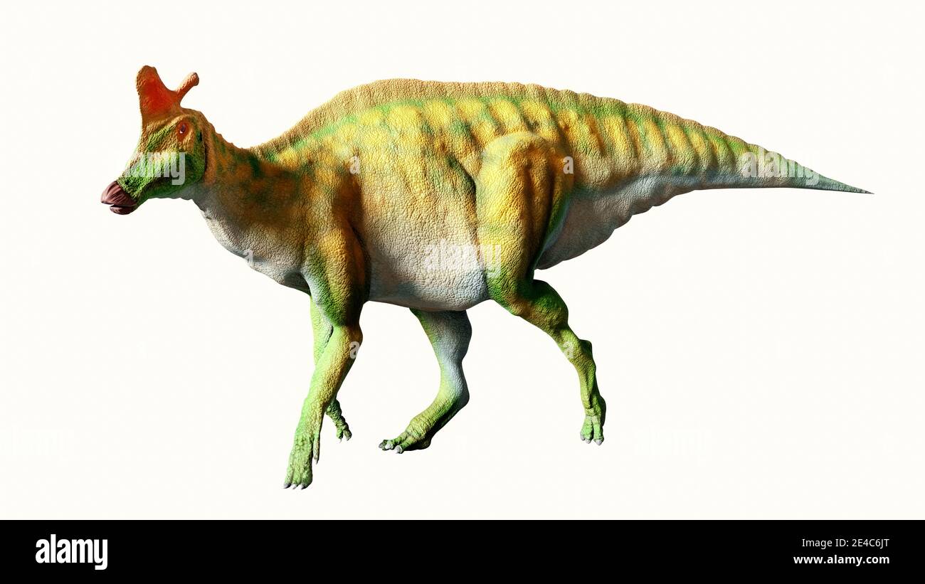 Opera d'arte di un dinosauro di un lambeosauro. Lambeosaurus erano dinosauri erbivori (incisi) che vivevano durante il tardo periodo Cretaceo (abou Foto Stock