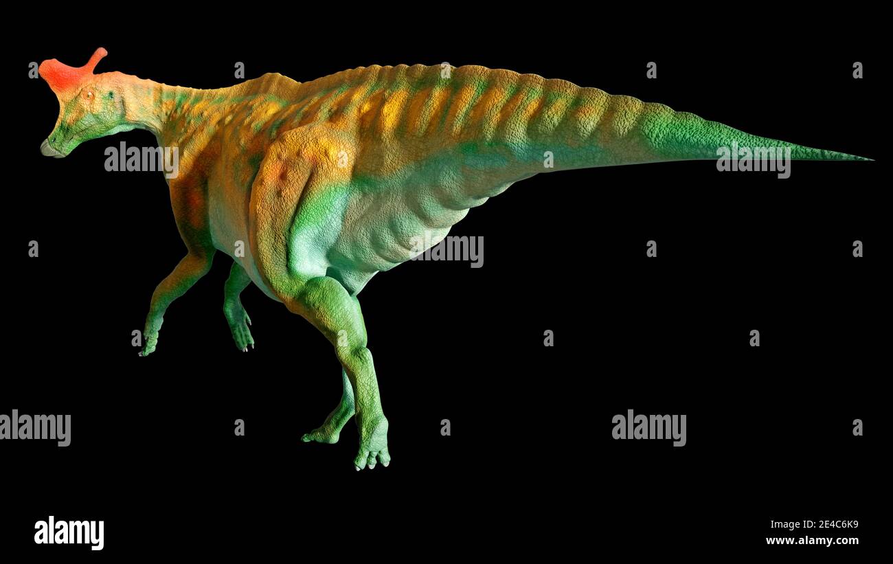 Opera d'arte di un dinosauro di un lambeosauro. Lambeosaurus erano dinosauri erbivori (incisi) che vivevano durante il tardo periodo Cretaceo (abou Foto Stock
