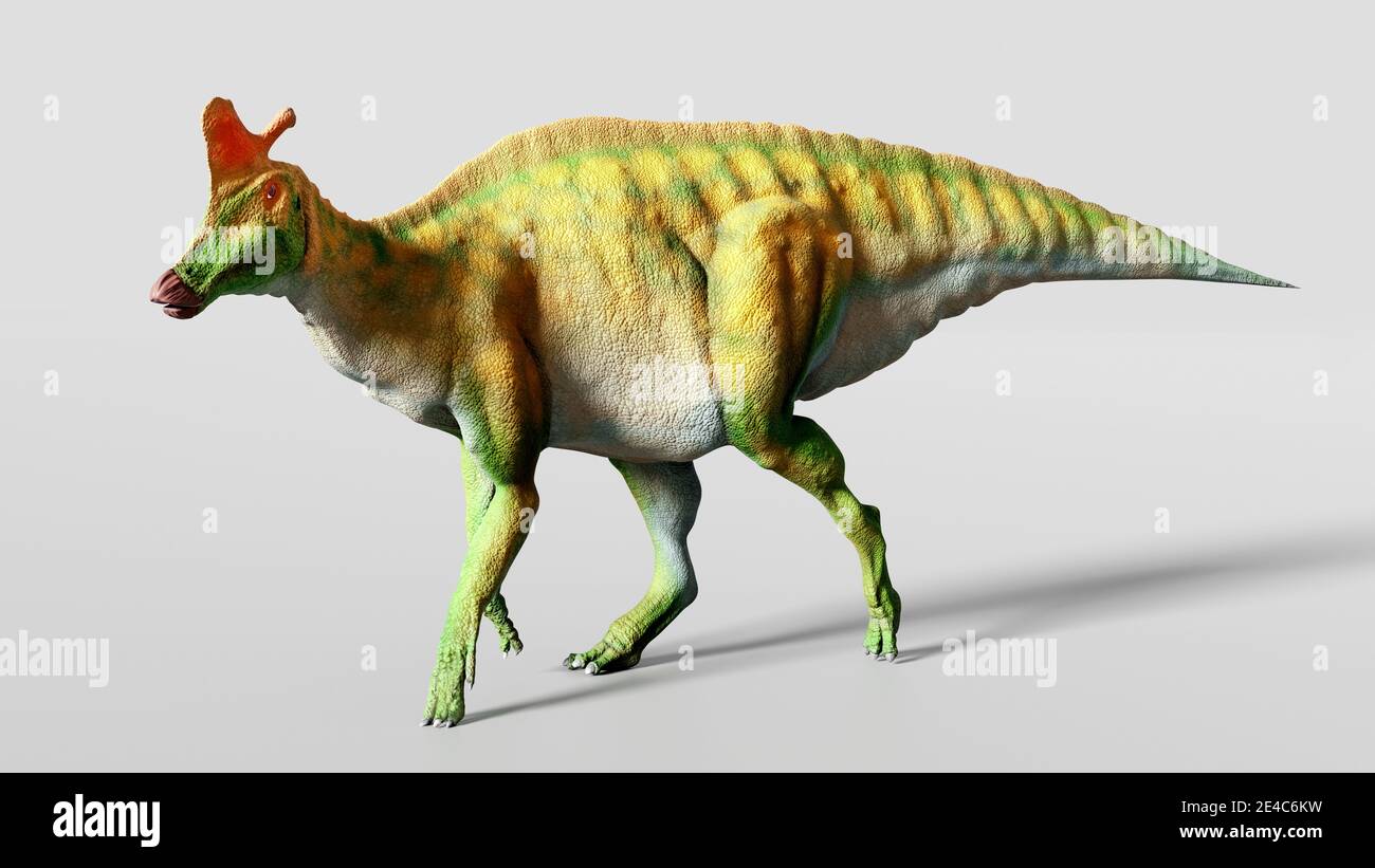 Opere d'arte di un dinosauro di un lambeosauro. Lambeosaurus erano dinosauri erbivori (incisi) che vivevano durante il tardo Cretaceo per Foto Stock