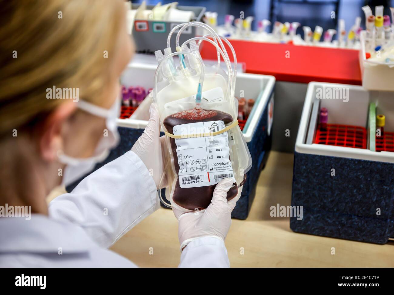 Essen, Renania Settentrionale-Vestfalia, Germania - donazione di sangue in tempi di crisi corona, qui al DRK Blood Donation Service West, Croce Rossa tedesca, in tempi dell'onda influenzale e del coronavirus, gli ospedali dipendono in particolare dalle donazioni di sangue e plasma sanguigno. Foto Stock