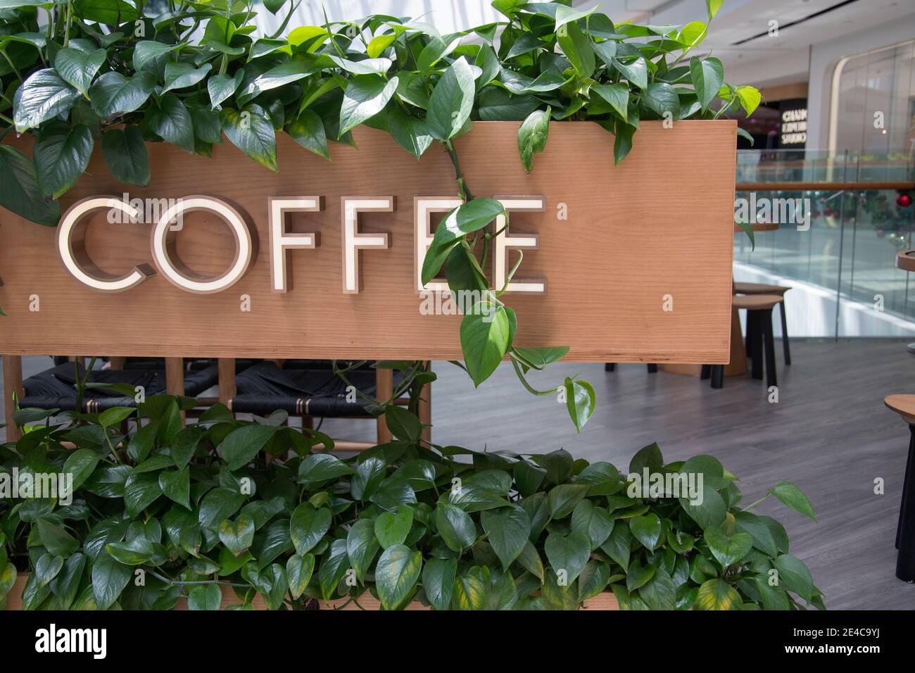 Parola di caffè su un banner di legno con pianta verde in un centro commerciale Foto Stock