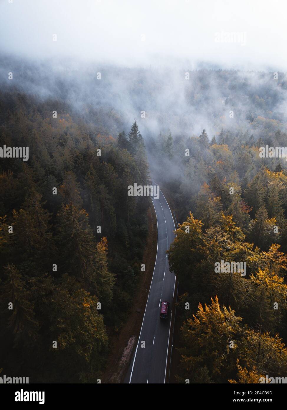 Deutschland, Baden Würtemberg, Scharzwald Foto Stock