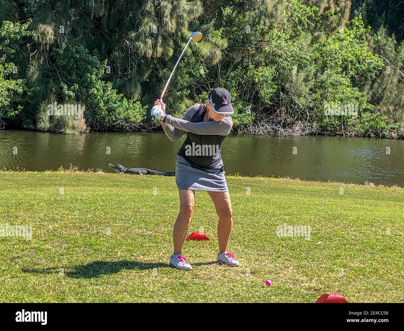 Donna senior golfer che si brulica come un alligatore guarda al bordo delle acque. Foto Stock