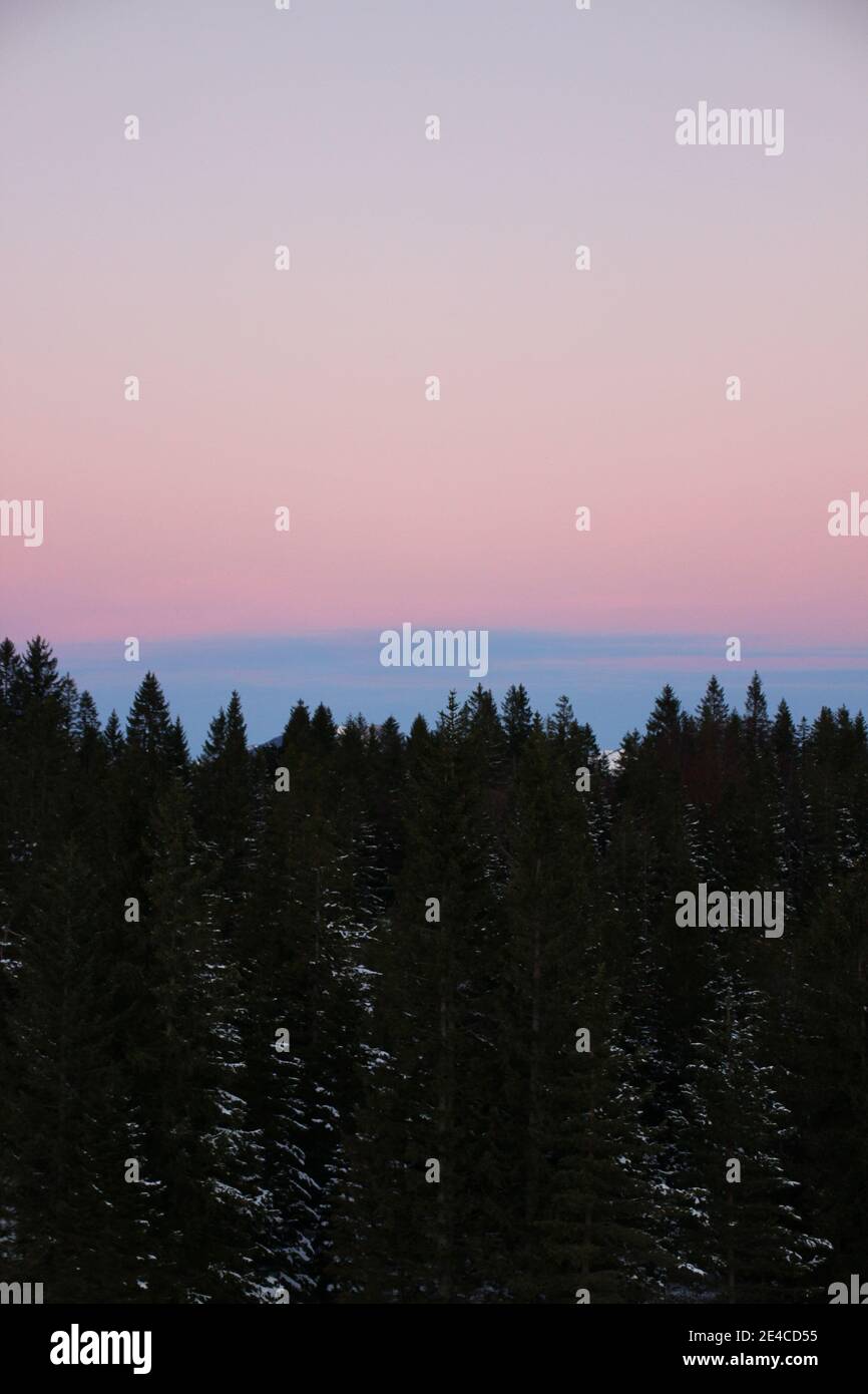 Escursione alla Hohen Kranzberg (1397 m), alba, Germania, Baviera, alta Baviera, Werdenfelser Land, Alpi bavaresi, Mittenwald, Alpi Karwendel Foto Stock