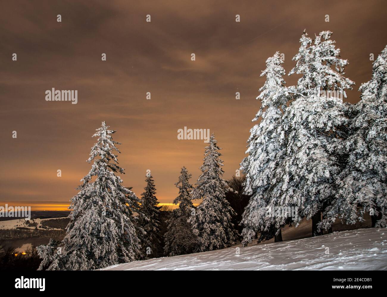 alberi innevati su un pascolo di montagna di notte Foto Stock