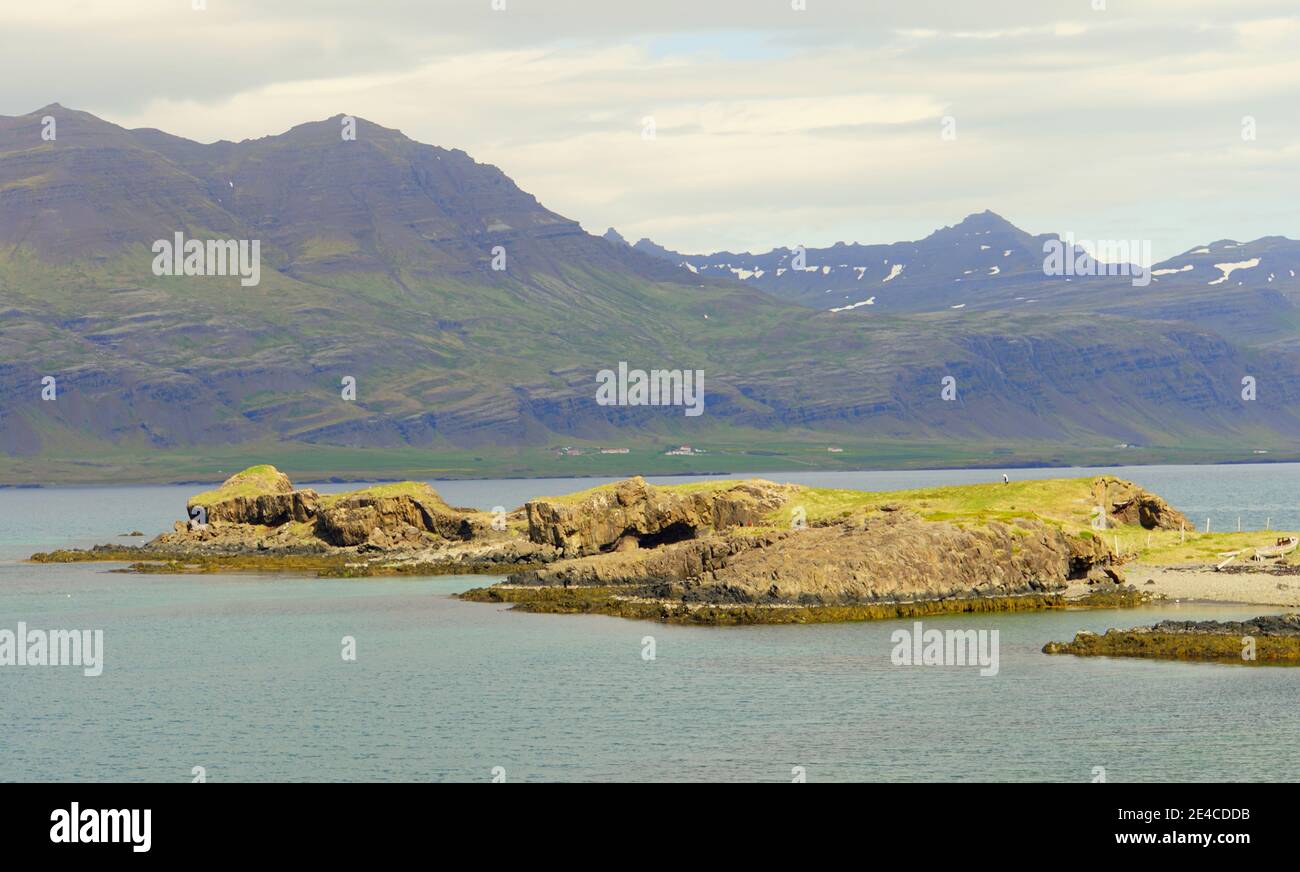 La vista delle scogliere e formazioni rocciose vicino all'oceano vicino ai fiordi orientali, Islanda in estate Foto Stock