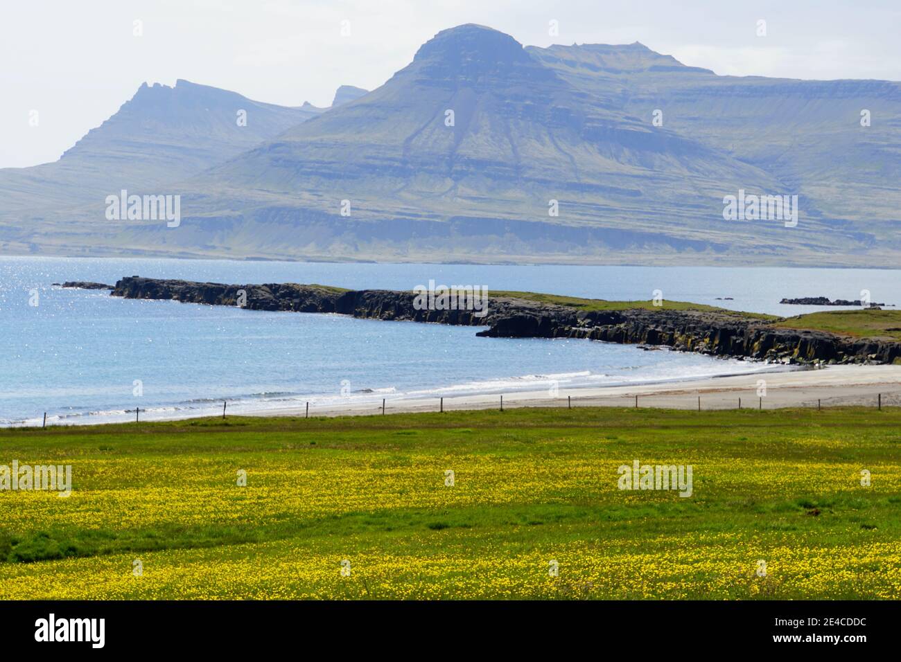 La vista del paesaggio verde, formazioni rocciose e scogliere vicino all'oceano vicino ai fiordi orientali, Islanda in estate Foto Stock