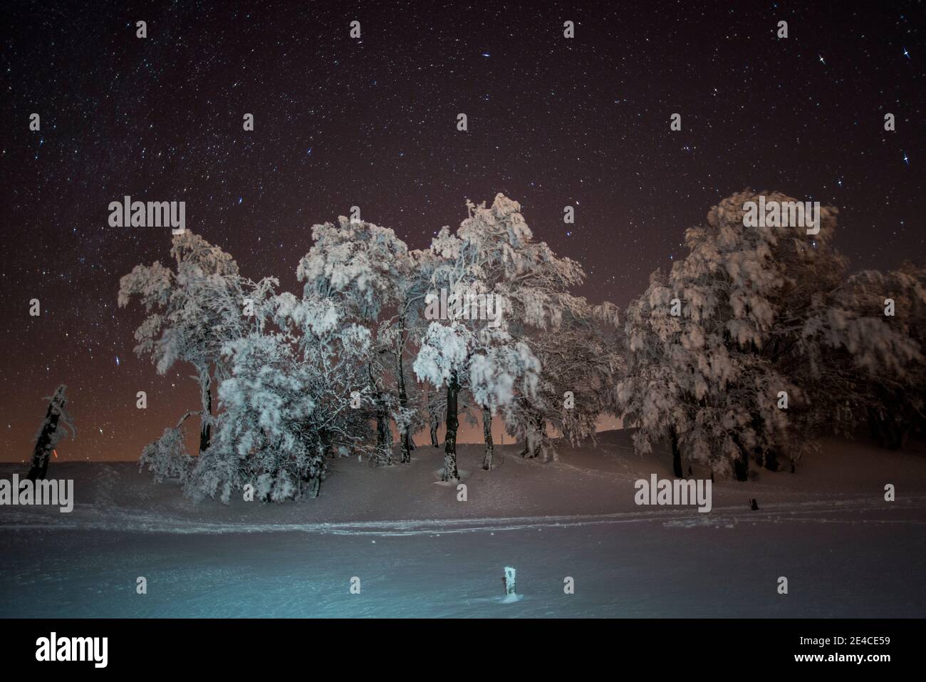 Spirito di Natale, fresco neve-coperto paesaggio sotto il cielo stellato Foto Stock