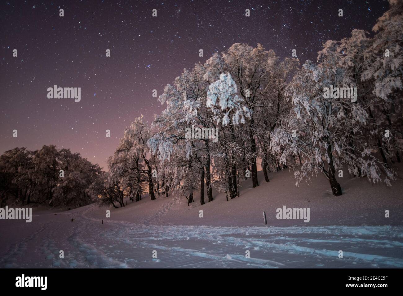 Spirito di Natale, fresco neve-coperto paesaggio sotto il cielo stellato Foto Stock